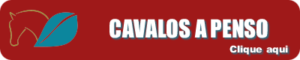 titulo_link_cavalos-a-penso_400x80_round_transp